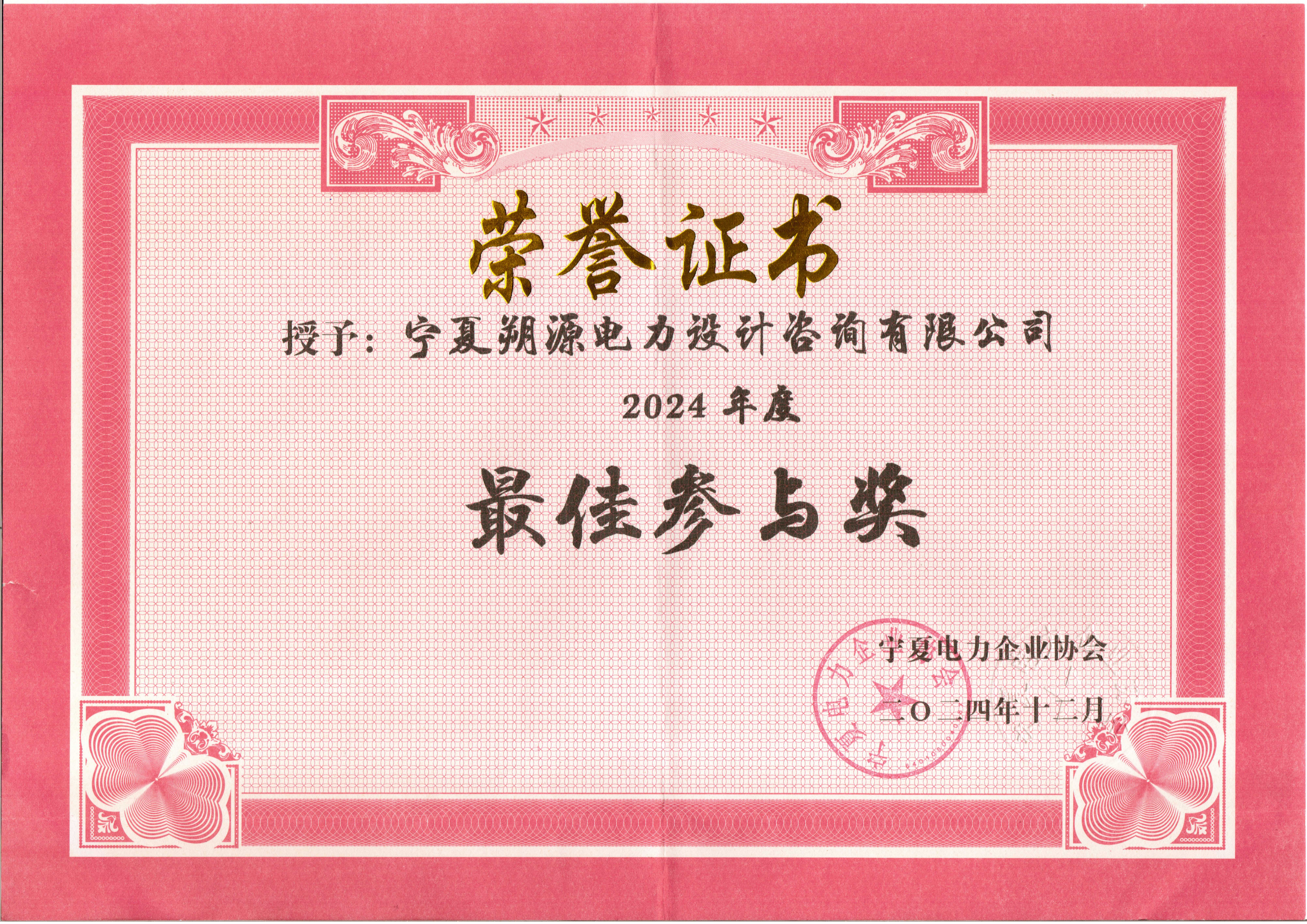 宁夏电力企业协会颁发-最佳参与奖
